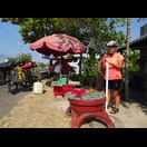 Rote Drachenfrüchte, frisch von einem der großen Felder